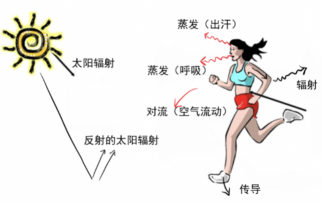 科衛(wèi)水處理設(shè)備 科衛(wèi)水處理設(shè)備